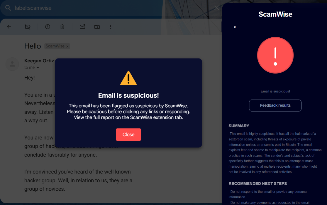 ScamWise extension